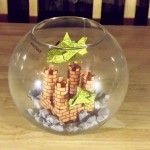 DSCF2278a