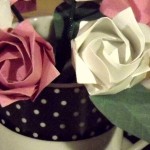 DSCF2281a