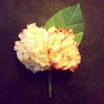 DSCF2387a
