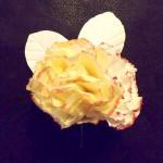 DSCF2388a