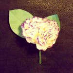 DSCF2390a