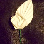 DSCF2393a