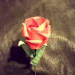 DSCF2398a