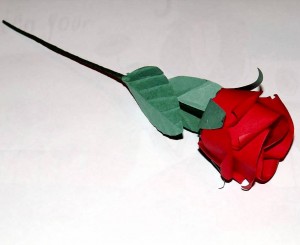 DSCF2404a