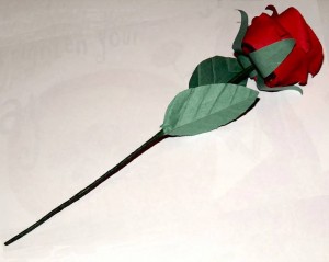 DSCF2405a