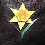 DSCF2411a